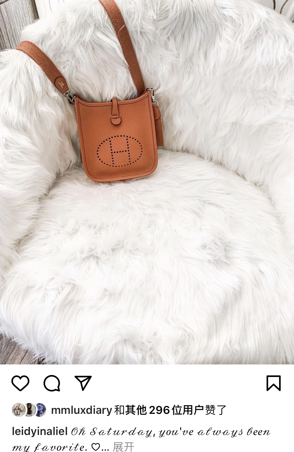 Hermes Evelyn Bags